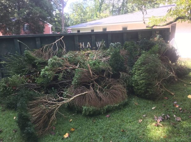 57485498_1050431295143600_2031483341613563904_n