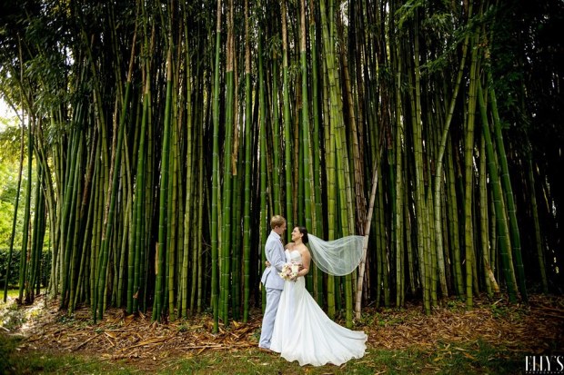 62372391_10106270851505229_2325312521168224256_n