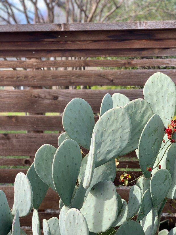 Dallas-If Gathering and Waco (137)