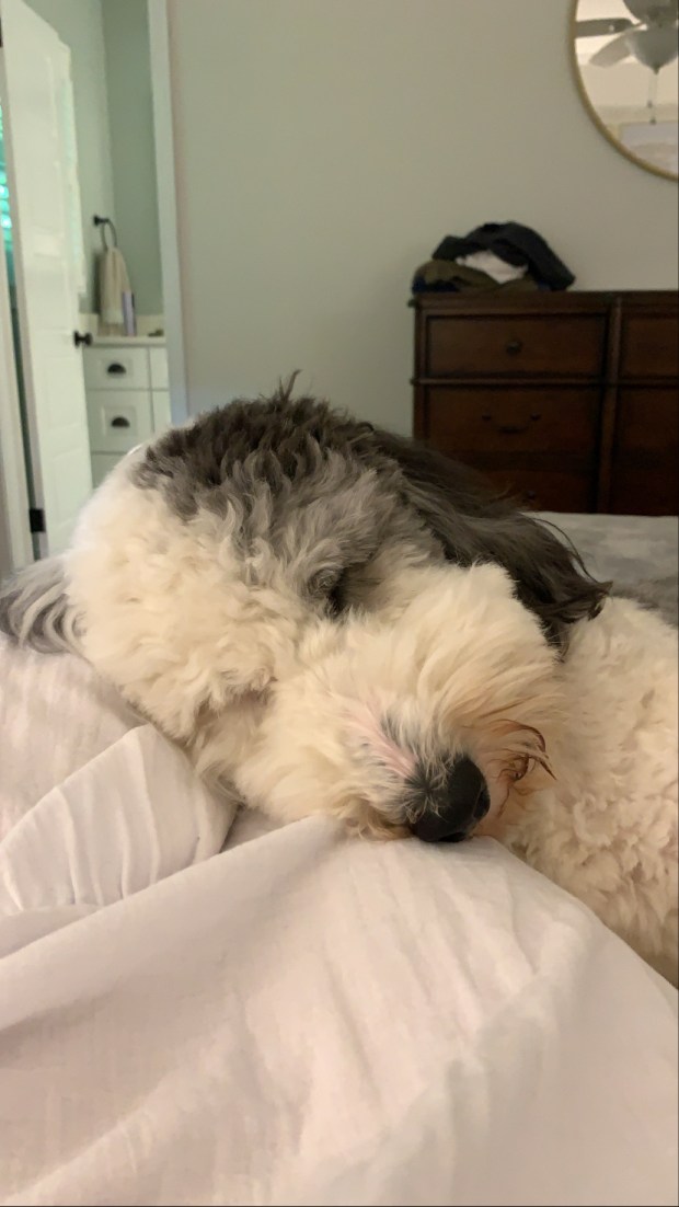 E11A4E81-971A-4704-BB61-ED6FDE32A527